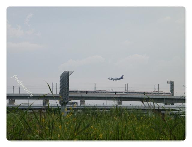 DSCF6450.JPG